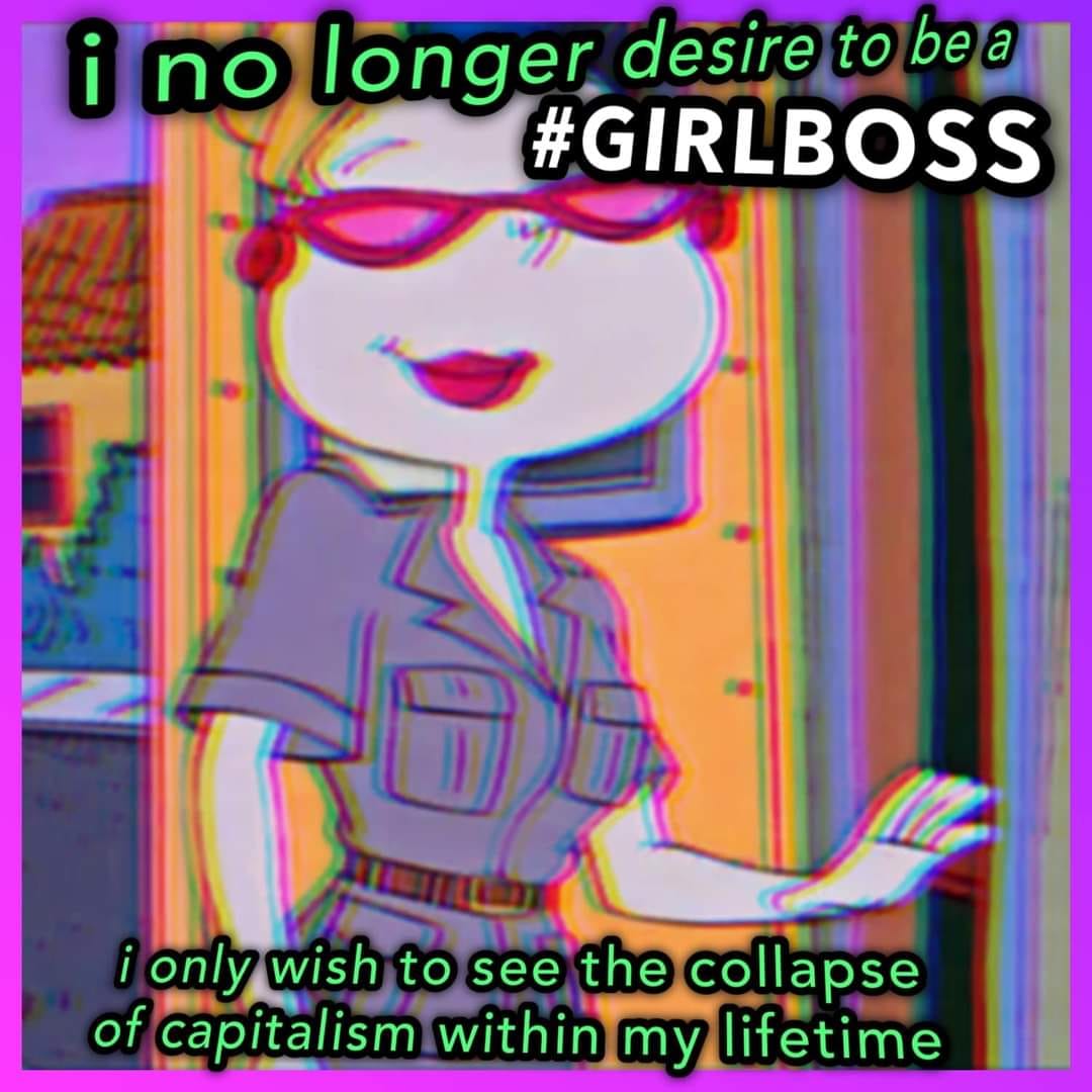 This meme features a cartoon character from the 1990s TV show "Rocko's Modern Life" with a sarcastic expression. The text "I would never have sex with you" appears above the character, while "I would never make out with you" is written below.
